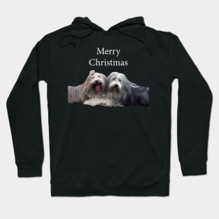 Bearded Collie Merry Christmas Hoodie